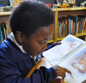 How to Create School Libraries that Support Self-Directed Approaches to Learning By the Bookery